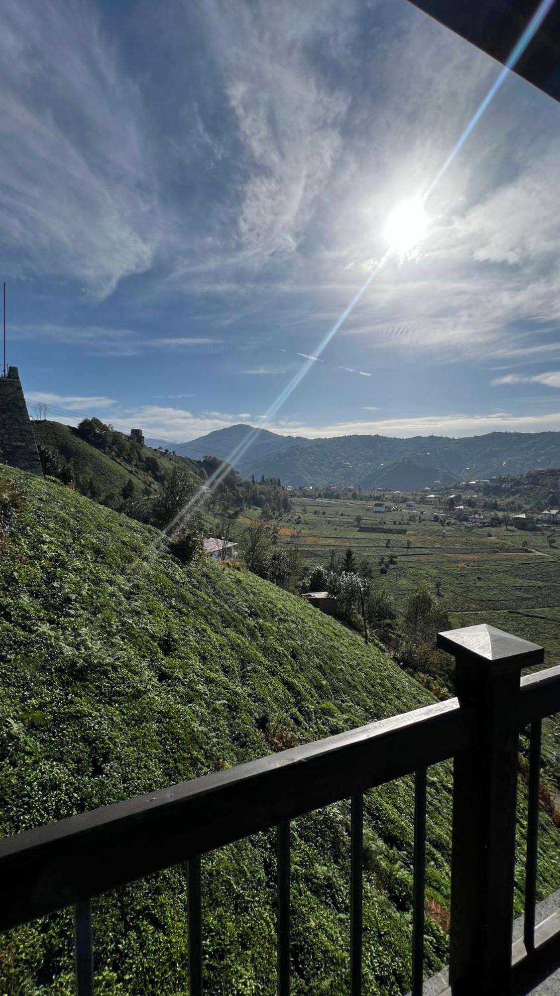 Meona Villa Bungalov Ardeşen Exteriör bild